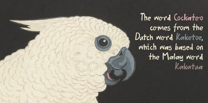 Holy Macaroni Font Poster 2