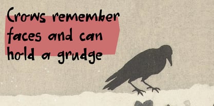 Holy Macaroni Font Poster 3