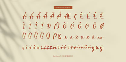 Last Knotes Font Poster 14
