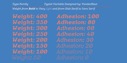 Typist Variable Prop Italic Font Poster 5