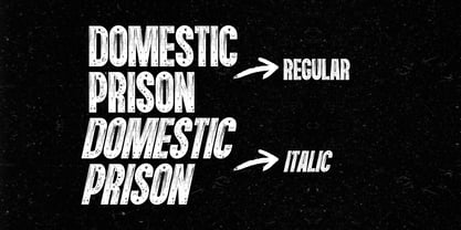 Domestic Prison Font Poster 14