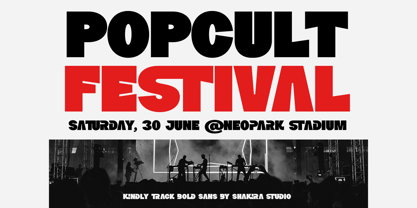 Kindly Track Font Poster 6