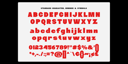 Kindly Track Font Poster 9