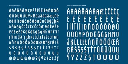 UT Unisportion FC Font Poster 6