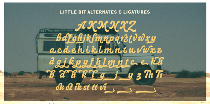 Melody Groove Font Poster 9