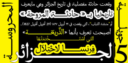 Grafikar Naskh Font Poster 6