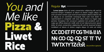 Normaliq Variable Font Poster 9