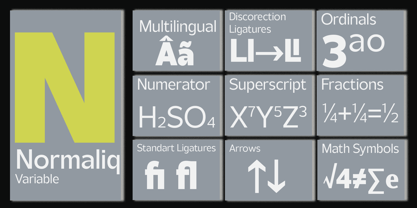 Normaliq Variable Font Poster 10