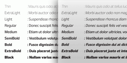 Normaliq Variable Font Poster 6