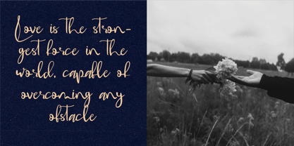 CF Dellynne Font Poster 4