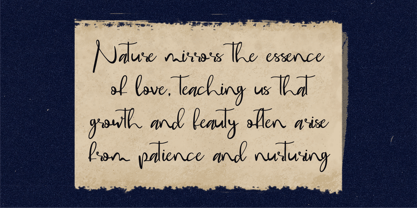 CF Dellynne Font Poster 10