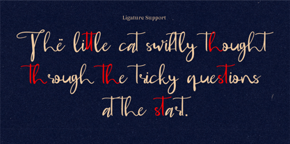 CF Dellynne Font Poster 3