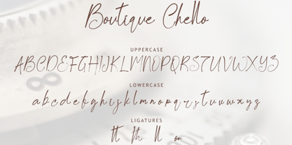 Boutique Chello Font Poster 5