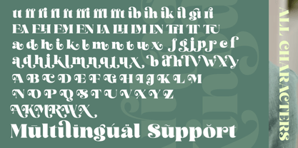 Arilast Kingde Font Poster 15