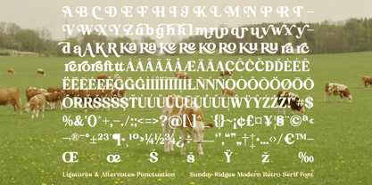 Sunday Ridges Font Poster 15