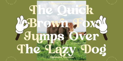 Sunday Ridges Font Poster 11