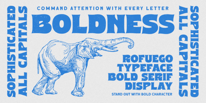 Rofuego Font Poster 2