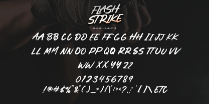 Flashstrike Police Poster 7