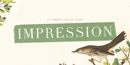 Impression Serif Font Poster 1