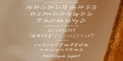 Indie Signature Font Poster 6