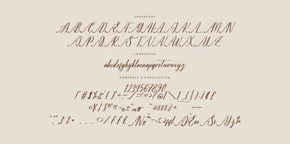 Sovinhaya Dictaselin Font Poster 7