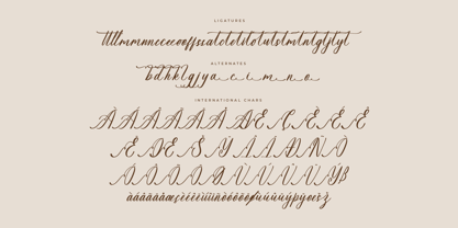 Sovinhaya Dictaselin Font Poster 8