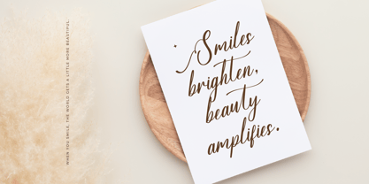 Sovinhaya Dictaselin Font Poster 3