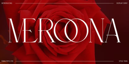 Meroona Display Serif Font Poster 1