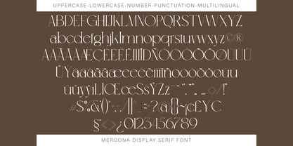 Meroona Display Serif Font Poster 7