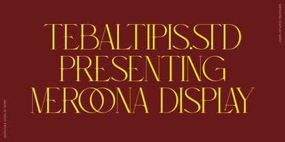 Meroona Display Serif Font Poster 5