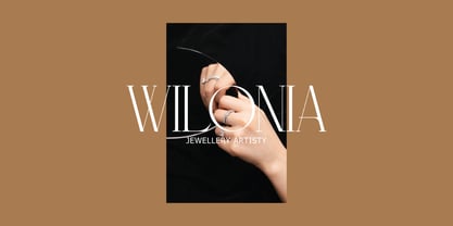 Meroona Display Serif Font Poster 11