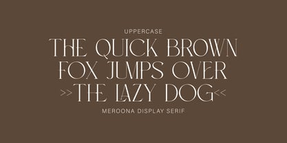 Meroona Display Serif Font Poster 2