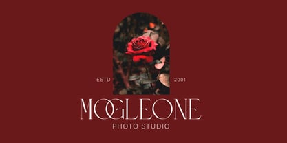 Meroona Display Serif Font Poster 3