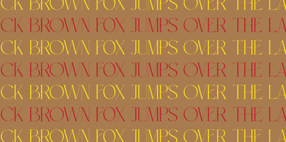 Meroona Display Serif Font Poster 13
