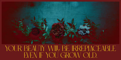 Meroona Display Serif Font Poster 6