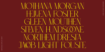 Meroona Display Serif Font Poster 4