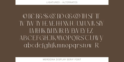 Meroona Display Serif Font Poster 8