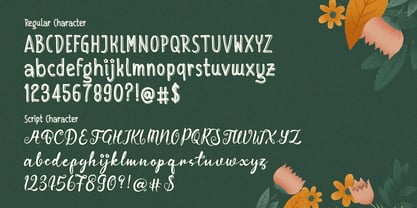 Filoria Amelia Font Poster 12
