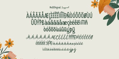 Filoria Amelia Font Poster 13