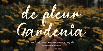 Filoria Amelia Font Poster 6