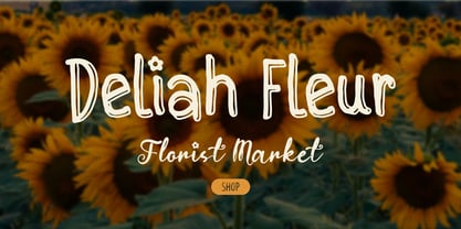 Filoria Amelia Font Poster 2