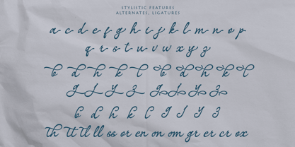 Silenta Font Poster 10