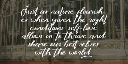 CF Aurelle Grace Font Poster 3