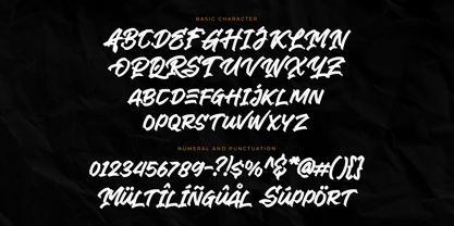 Grimraze Script Pro Font Poster 2