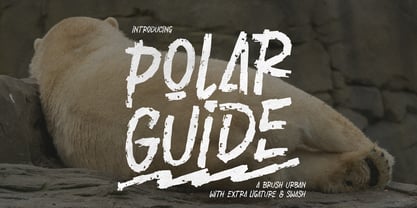 Polar Guide Font Poster 1