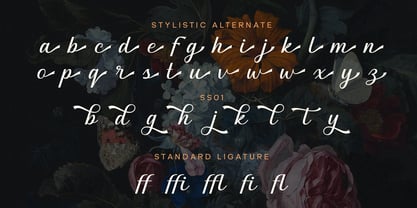 Graceful Nostagia Font Poster 8