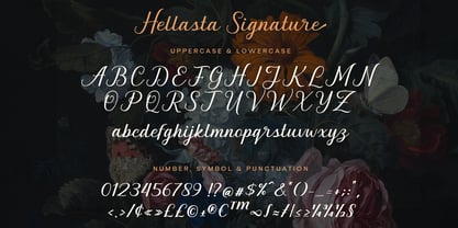 Graceful Nostagia Font Poster 7