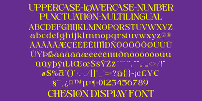 Chesion Display Font Poster 7