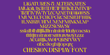 Chesion Display Font Poster 8