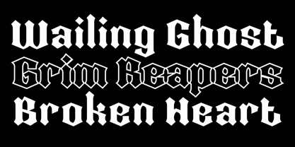 Qamile Gothic Font Poster 9